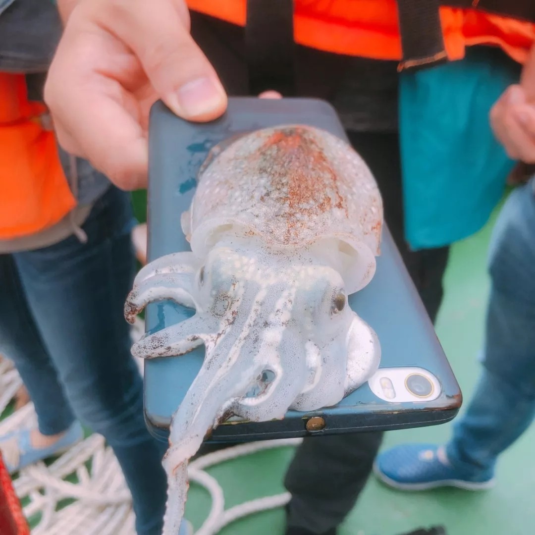 【碧海奇礁·金沙渔火】 888电子2019年团建游记-888电子