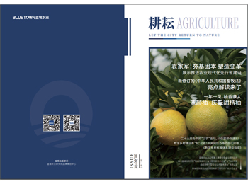 888电子(中国游)有限公司官网